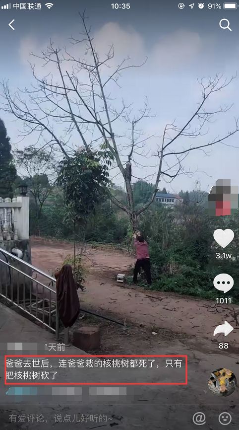 如何操作暴利的风水网络赚钱项目！插图