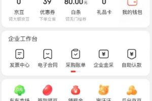 外面最高收费到3980的京东撸货项目，号称日产300+的项目（详细玩法视频教程）